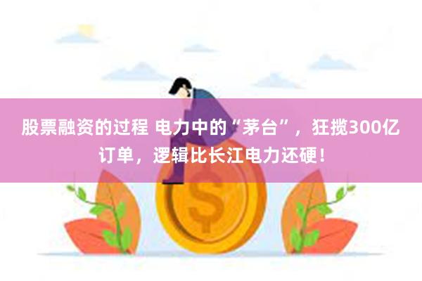 股票融资的过程 电力中的“茅台”，狂揽300亿订单，逻辑比长江电力还硬！