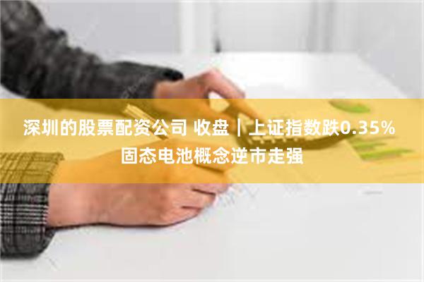 深圳的股票配资公司 收盘｜上证指数跌0.35% 固态电池概念逆市走强