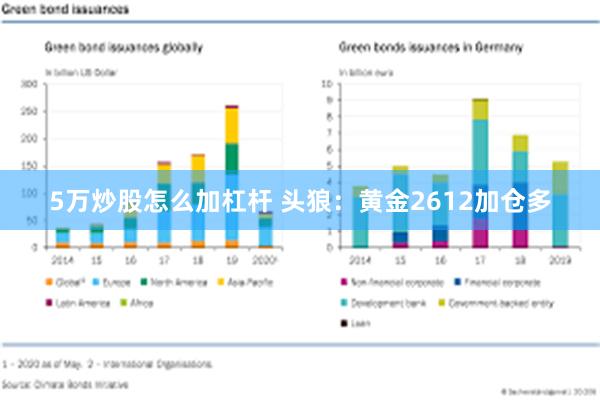 5万炒股怎么加杠杆 头狼：黄金2612加仓多