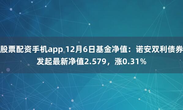 股票配资手机app 12月6日基金净值：诺安双利债券发起最新净值2.579，涨0.31%