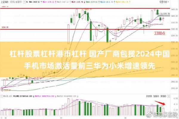 杠杆股票杠杆港币杠杆 国产厂商包揽2024中国手机市场激活量前三华为小米增速领先