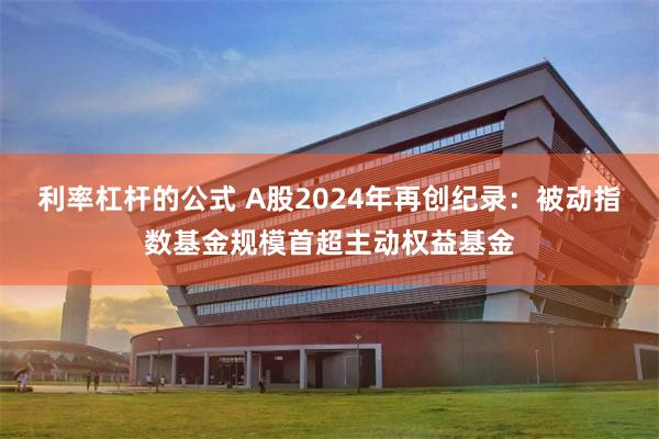 利率杠杆的公式 A股2024年再创纪录：被动指数基金规模首超主动权益基金