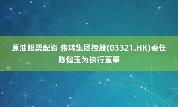 原油股票配资 伟鸿集团控股(03321.HK)委任陈健玉为执