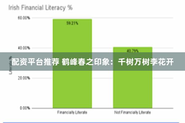 配资平台推荐 鹤峰春之印象：千树万树李花开